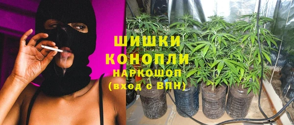СК Богородск
