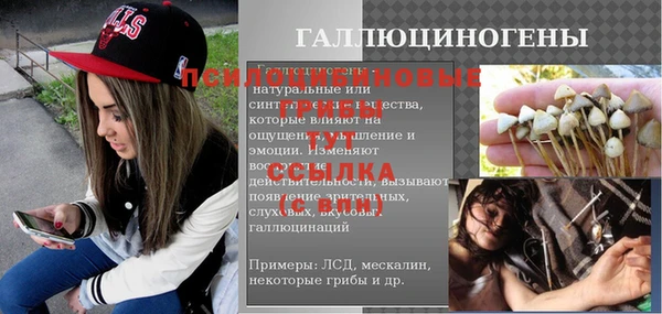 СК Богородск