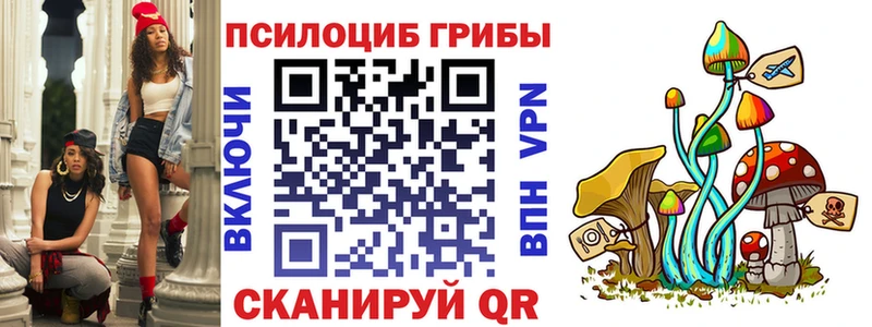 Галлюциногенные грибы мицелий  купить наркотик  Мариинский Посад 